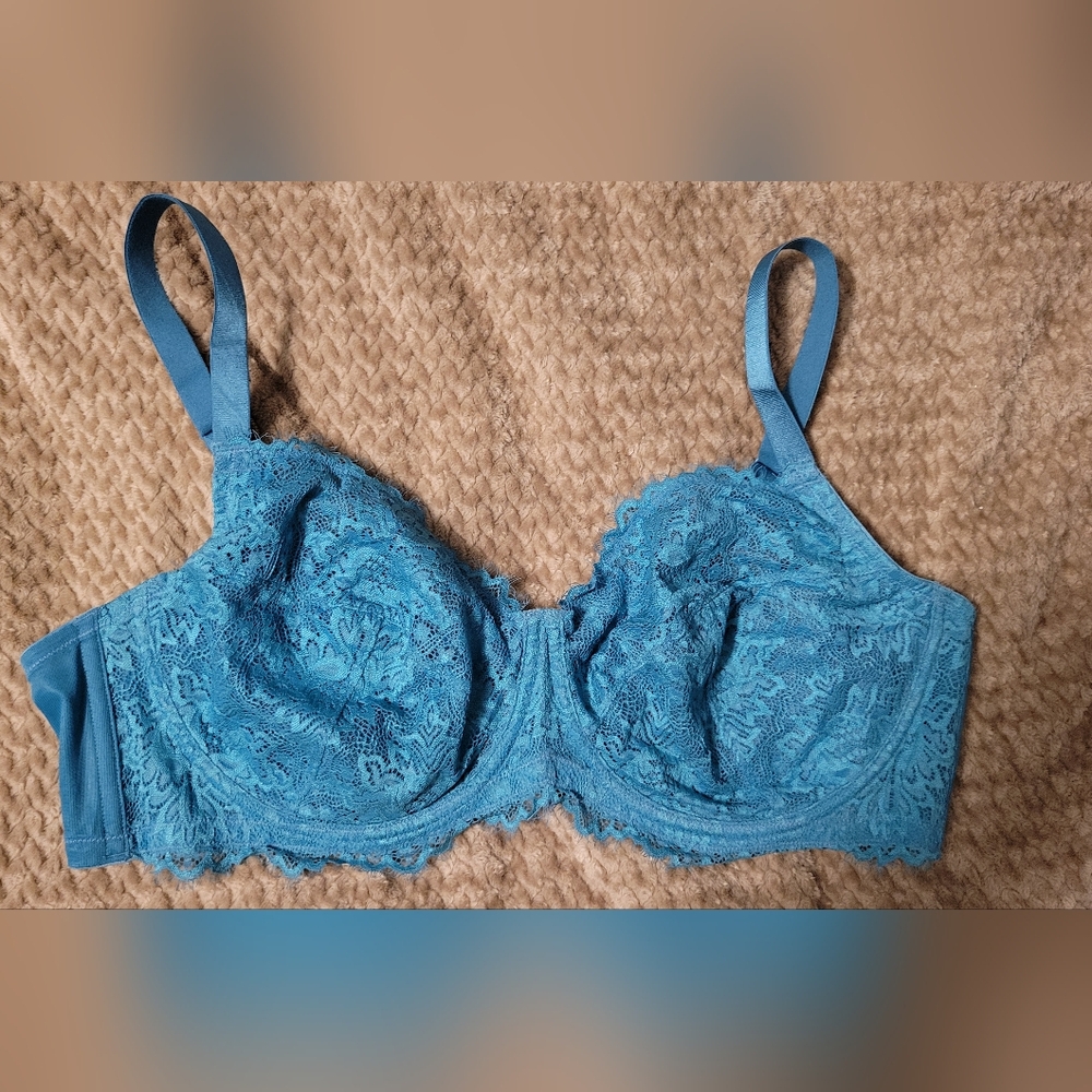 Hsia Lace Sheer Mesh Unlined Underwire Bra Teal